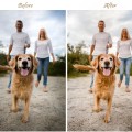 80 Natural LIGHTROOM Presets, Spring Outdoor Preset, Creamy Preset, Bohemian Preset, Warm Light Filter, Mobile Preset, Bright Desktop Preset