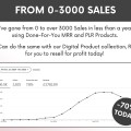 Scaling Your Business With ChatGPT Ebook with Master-Resell-Rights, DFY ChatGPT for Business Growth Guide PLR, AI Ebook Ready-to-resell