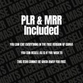 Manychat Automation Flows PLR & MRR Business Kit