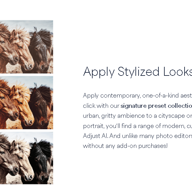AI Photo Adjustment Software | Topaz Adjust AI 1.6.8 Chinese Localized Version