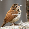 All-in-One AI Photo Editor | Topaz Photo AI 3.0.3