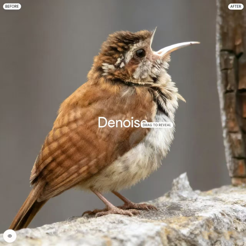 All-in-One AI Photo Editor | Topaz Photo AI 3.0.3